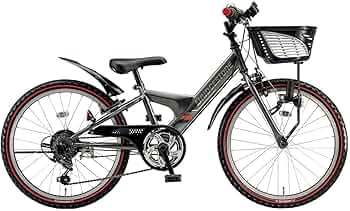 ブリヂストン エクスプレスジュニア 24インチ 外装６段　EXJ46 BRIDGESTONE ブリヂストン エクスプレスジュニア ダイナモランプ